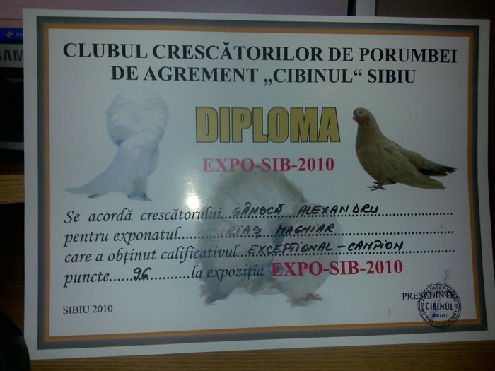 diploma sibiu - rezultate si premii expozitii