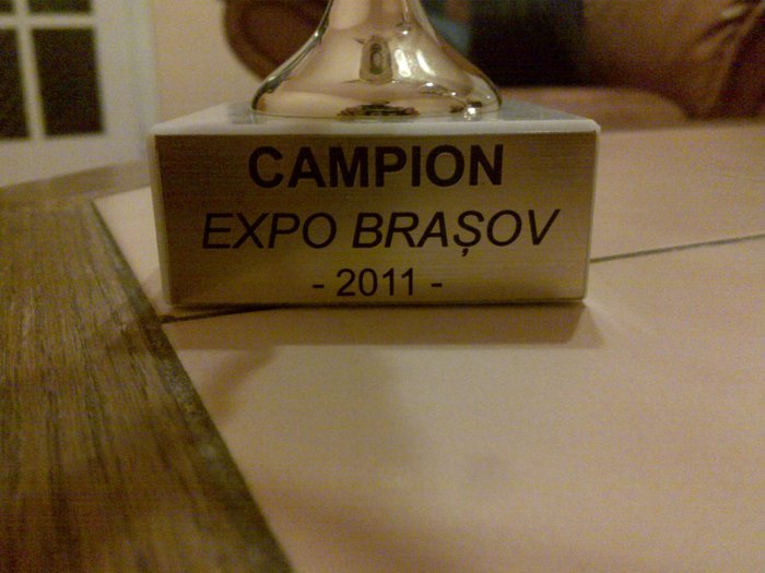 cupa CAMPION brasov 2011 - rezultate si premii expozitii