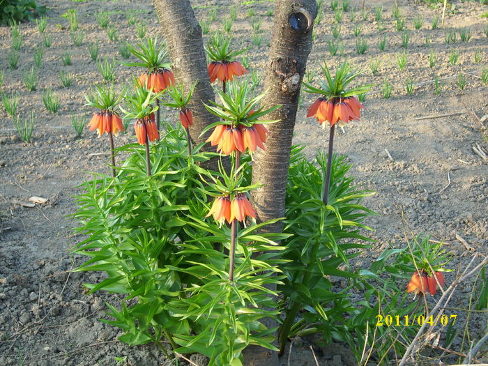 DSCI0749