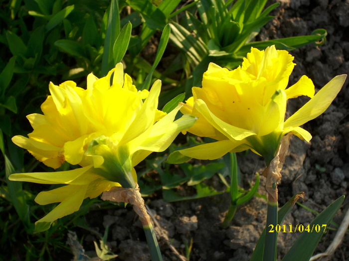 DSCI0765