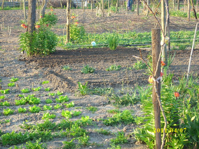 DSCI0782