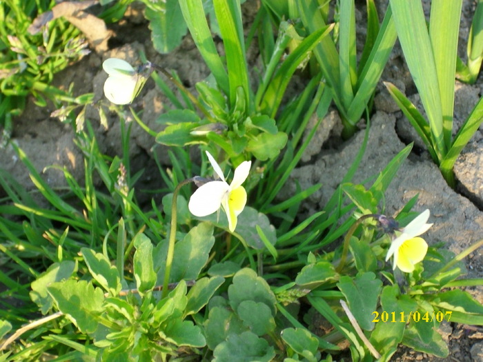 DSCI0788