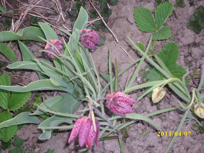 DSCI0841