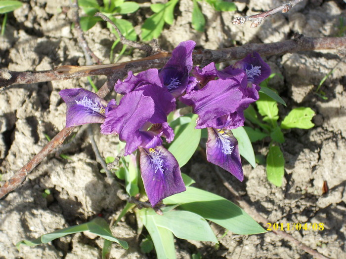 DSCI0948