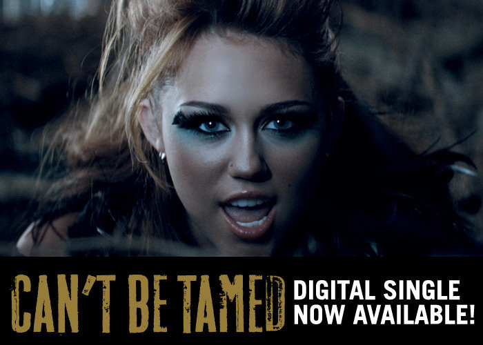 29933_401483997146_5845317146_4104313_6156019_n - miley