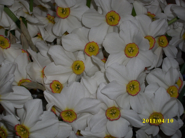 DSCI1596