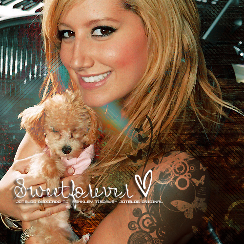 3834207007_5fb8bea590 - ashley tisdale si catelul ei maui