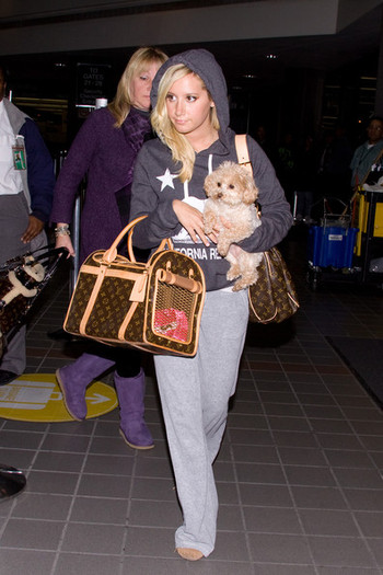 Ashley and Maui arrive 2parNKMBUkJl - ashley tisdale si catelul ei maui