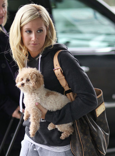 ashley-tisdale-beauty-secrets-11 - ashley tisdale si catelul ei maui