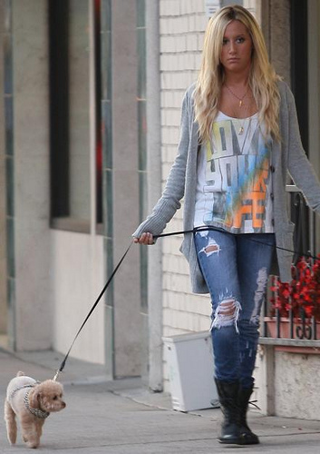 Ashley-Tisdale-Dog - ashley tisdale si catelul ei maui