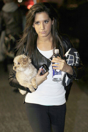 Ashley-Tisdale-hang-on-pup-