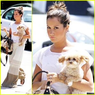 ashley-tisdale-last-first - ashley tisdale si catelul ei maui