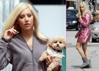 ashley-tisdale-maui-me - ashley tisdale si catelul ei maui