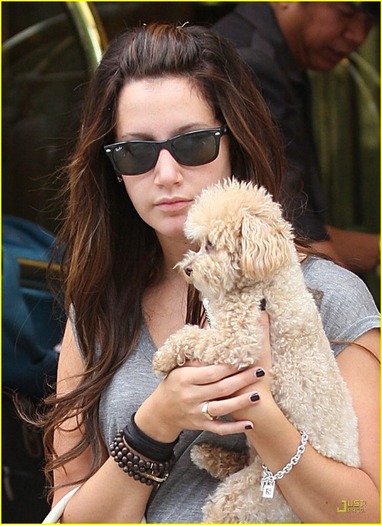 ashley-tisdale-maui-traveler-02 - ashley tisdale si catelul ei maui
