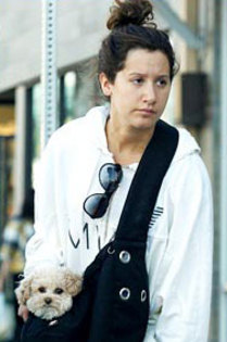 Ashley-Tisdale - ashley tisdale si catelul ei maui