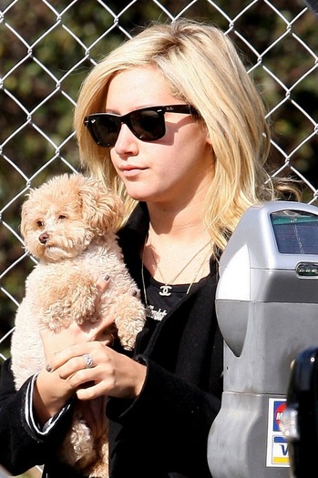 ATisdale_gl_18jan09_big_b - ashley tisdale si catelul ei maui