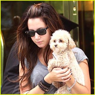 das (30) - ashley tisdale si catelul ei maui
