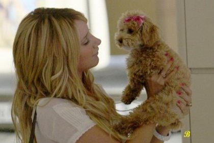 das (52) - ashley tisdale si catelul ei maui
