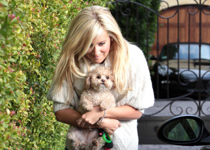 das (70) - ashley tisdale si catelul ei maui