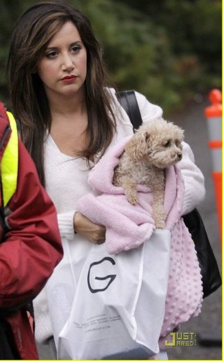 das (84) - ashley tisdale si catelul ei maui