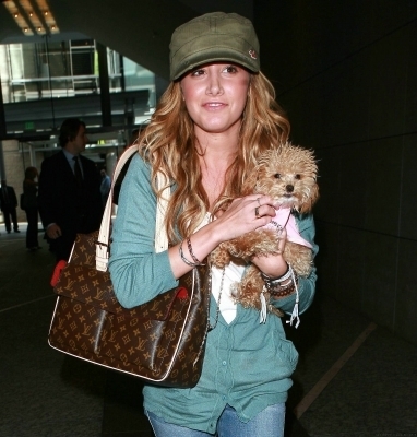 das (112) - ashley tisdale si catelul ei maui