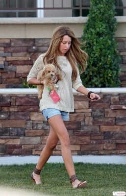 das (113) - ashley tisdale si catelul ei maui