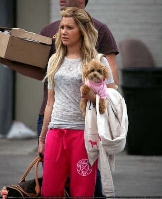 das (116) - ashley tisdale si catelul ei maui
