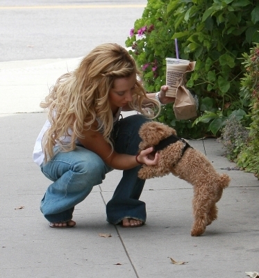 fdfv - ashley tisdale si catelul ei maui