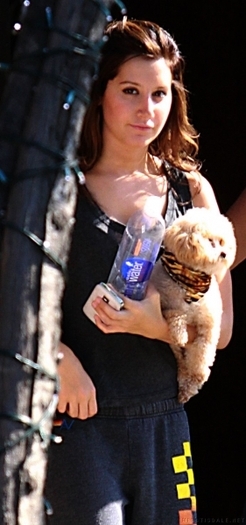 fer - ashley tisdale si catelul ei maui