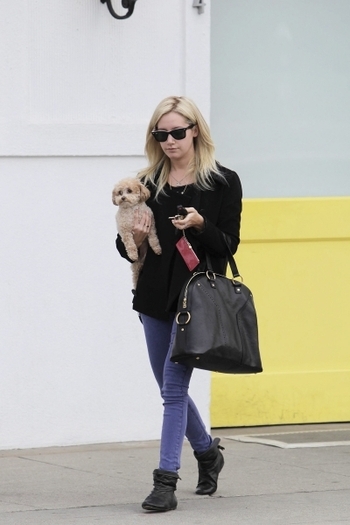 grdf - ashley tisdale si catelul ei maui