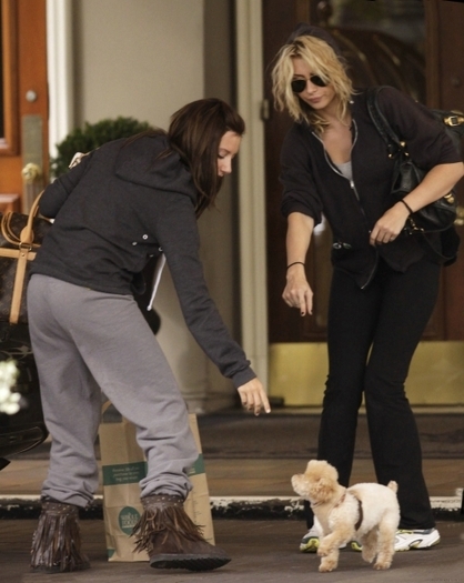 gtg - ashley tisdale si catelul ei maui