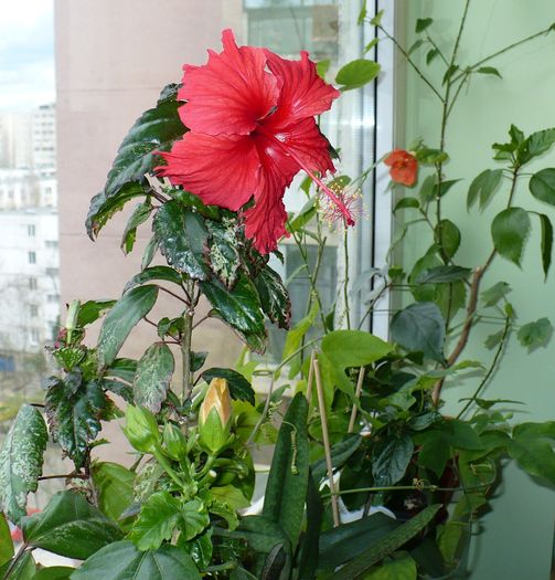 P1330336