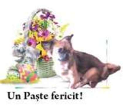 paste24 - Happy Easter