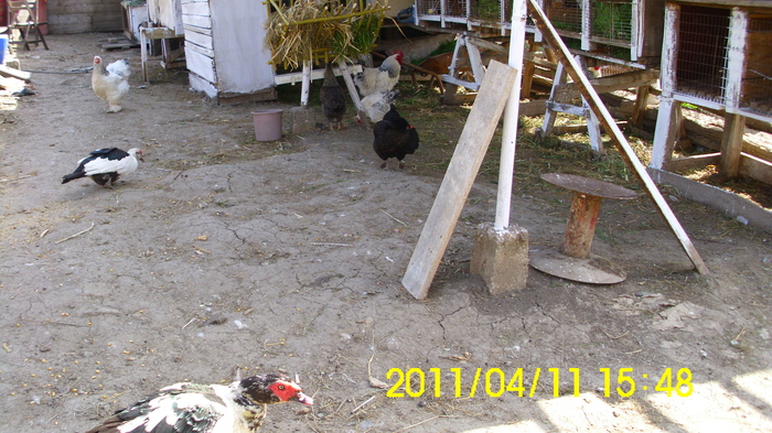 IMG_0158