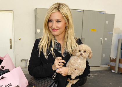 Ashley Tisdale Gets Her Holiday Shopping On