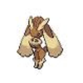 cu fata - Cum arata lopunny in jocuri pokemon