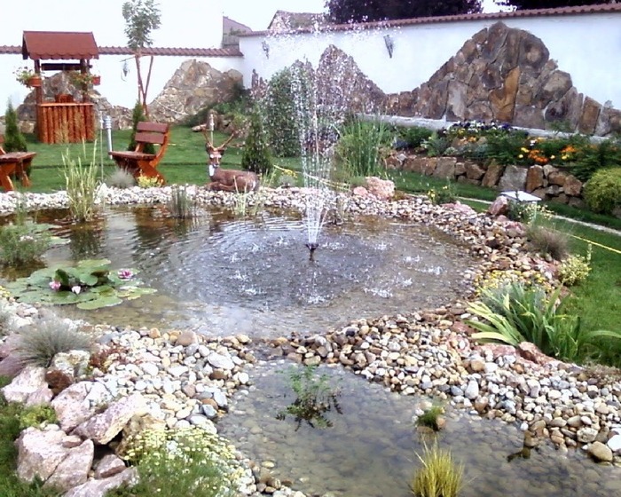 Fotografii-0160 - AMENAJARE GRADINA iaz 2008