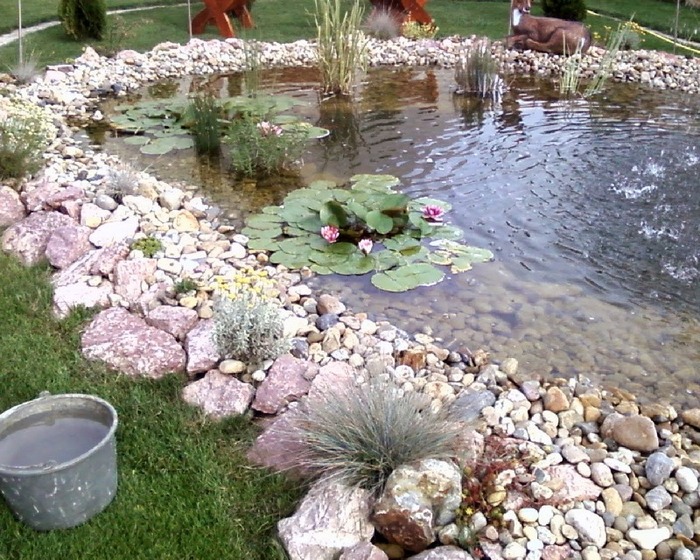 Fotografii-0161 - AMENAJARE GRADINA iaz 2008