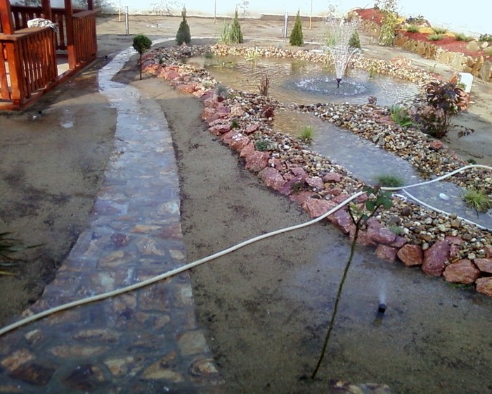 fotografii-0008a - AMENAJARE GRADINA iaz 2008