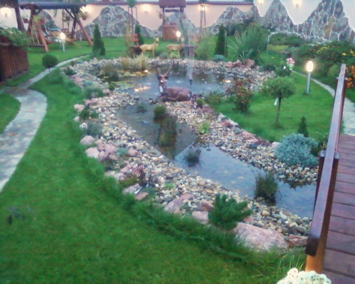 Fotografii-0011 - AMENAJARE GRADINA iaz 2008