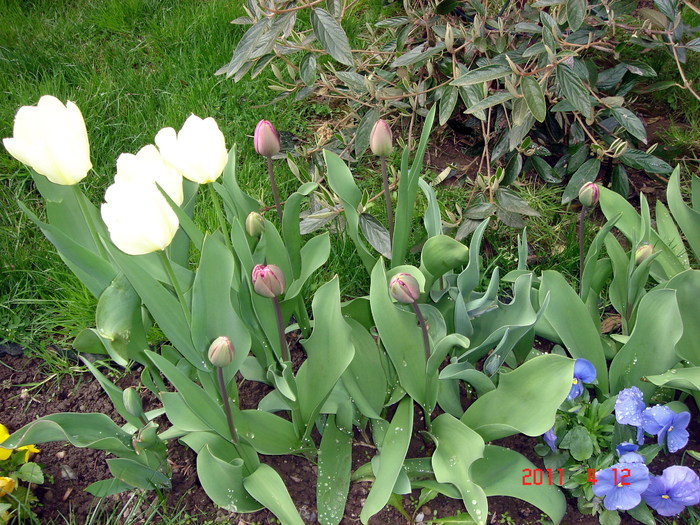 DSC09849
