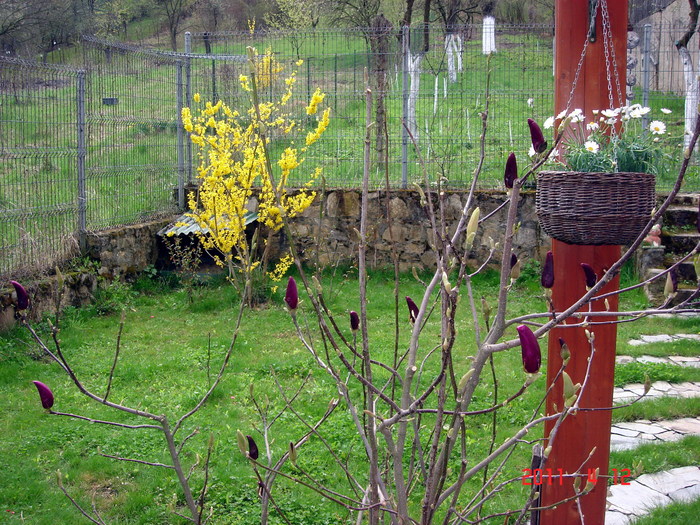 DSC09860