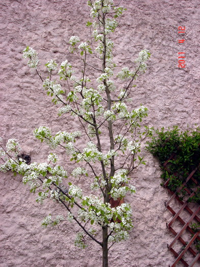 DSC09864