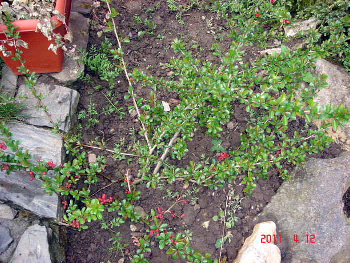 DSC09872
