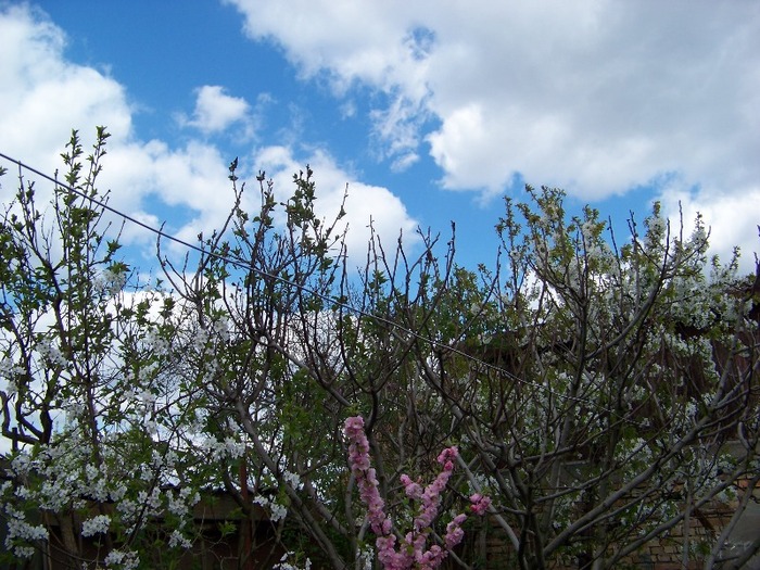 100_2421 - Aprilie 2011
