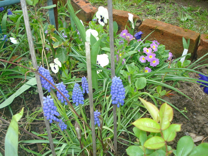 DSC02718