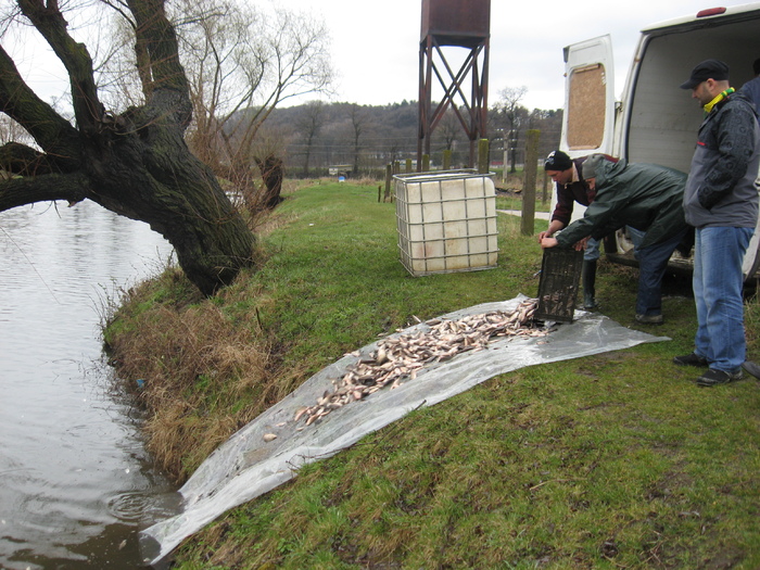 IMG_0259 - PESCUIT 2011