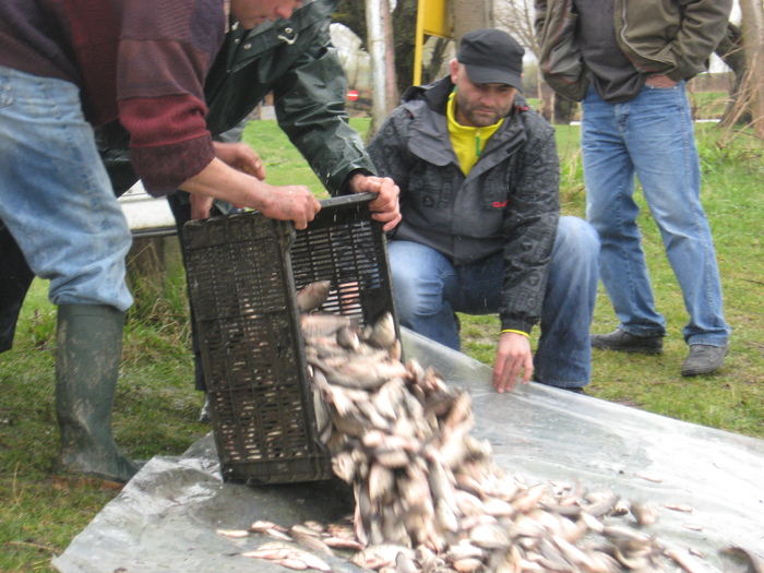 IMG_0263 - PESCUIT 2011