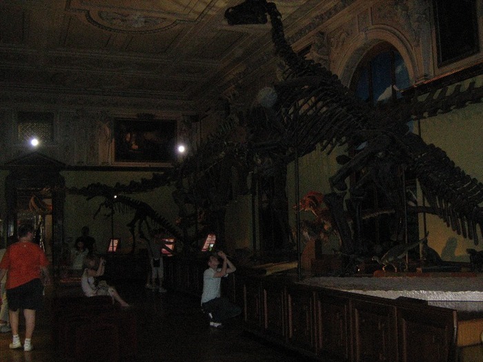 Picture 075 - 3-La Muzeul de stiinte naturale din Viena in august 2009