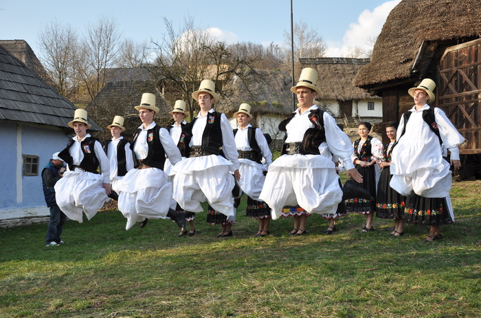 muzeul satului baia mare